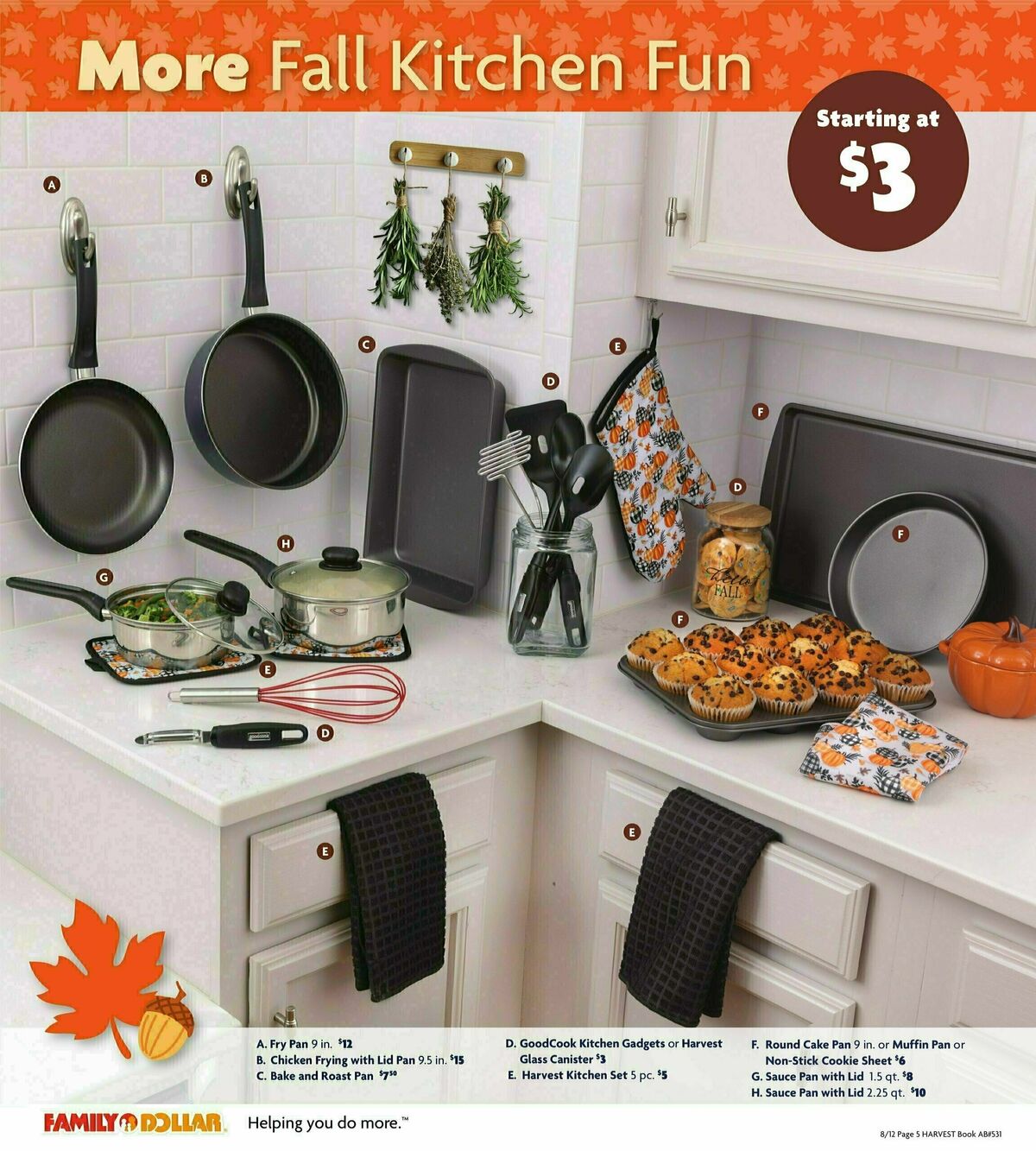 Family Dollar Harvest Book Weekly Ad from August 12