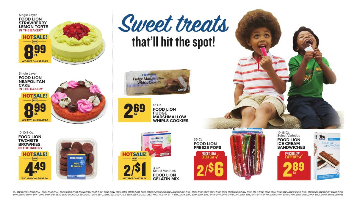 Food Lion Weekly Ad from May 17