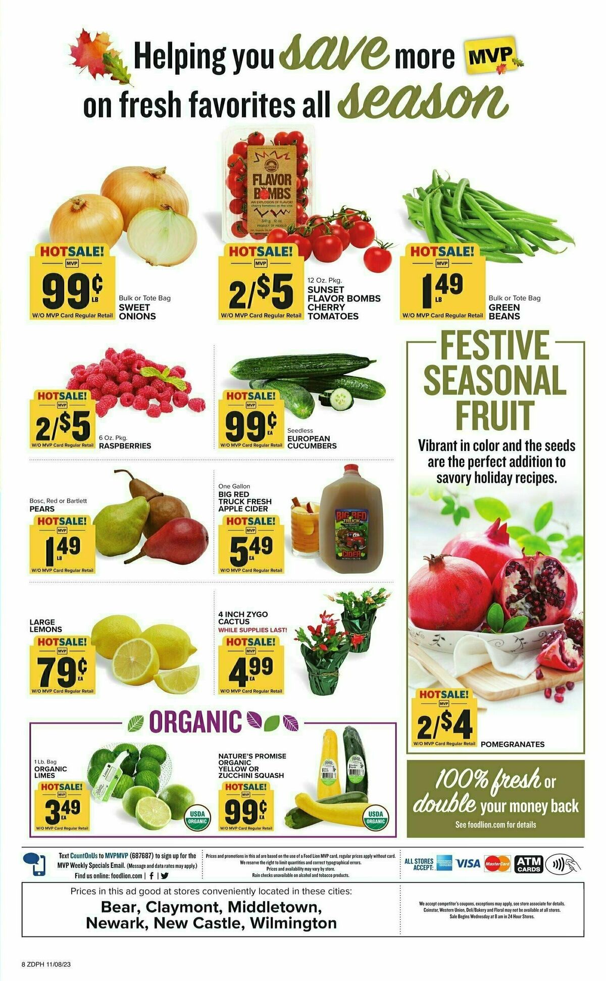 Food Lion Weekly Ad from November 8