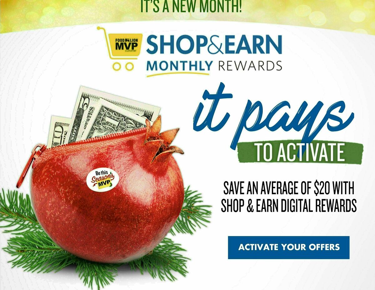 Food Lion Weekly Ad from December 13