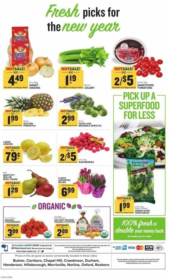 Food Lion Weekly Ad from January 3