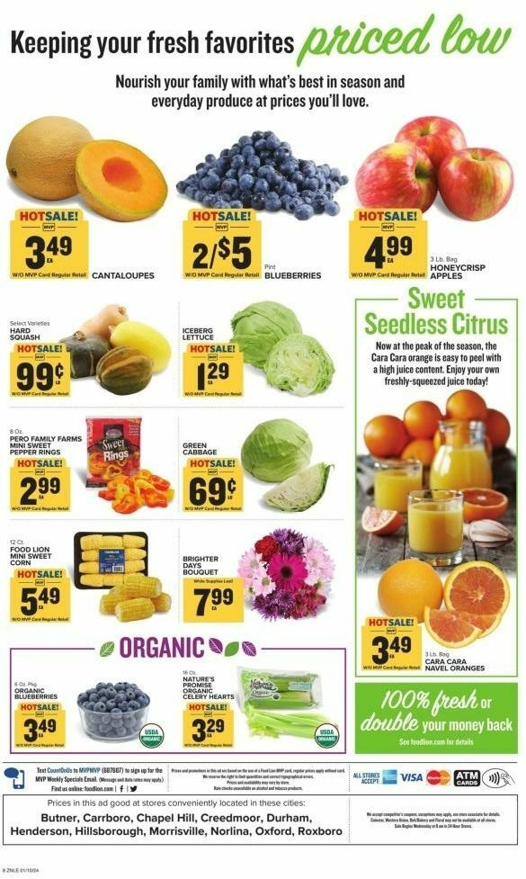 Food Lion Weekly Ad from January 10