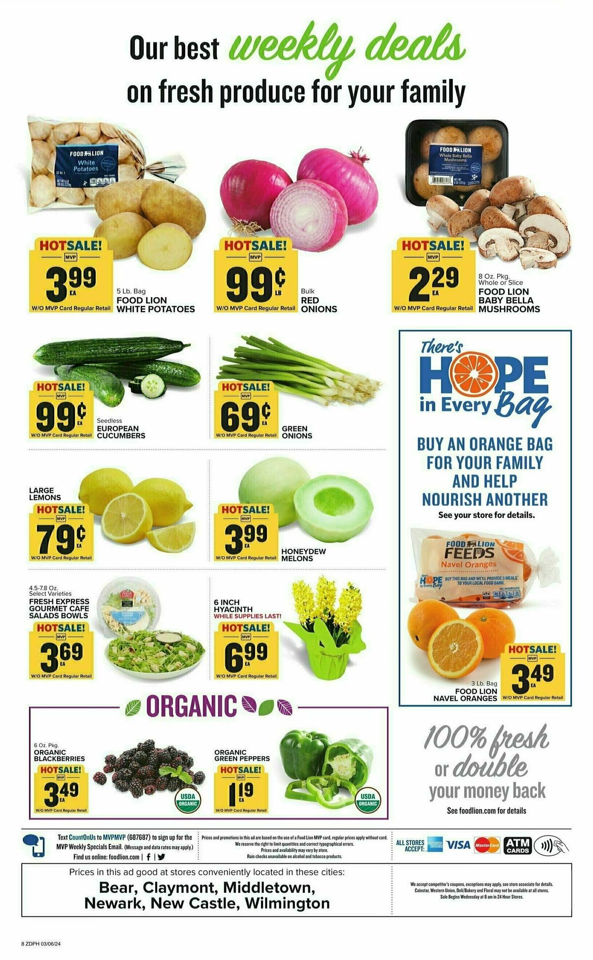 Food Lion Weekly Ad from March 6