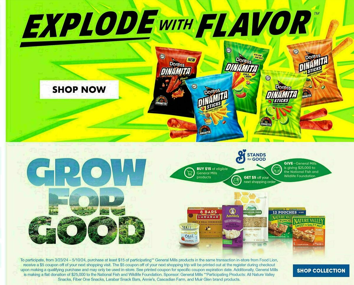 Food Lion Weekly Ad from April 10