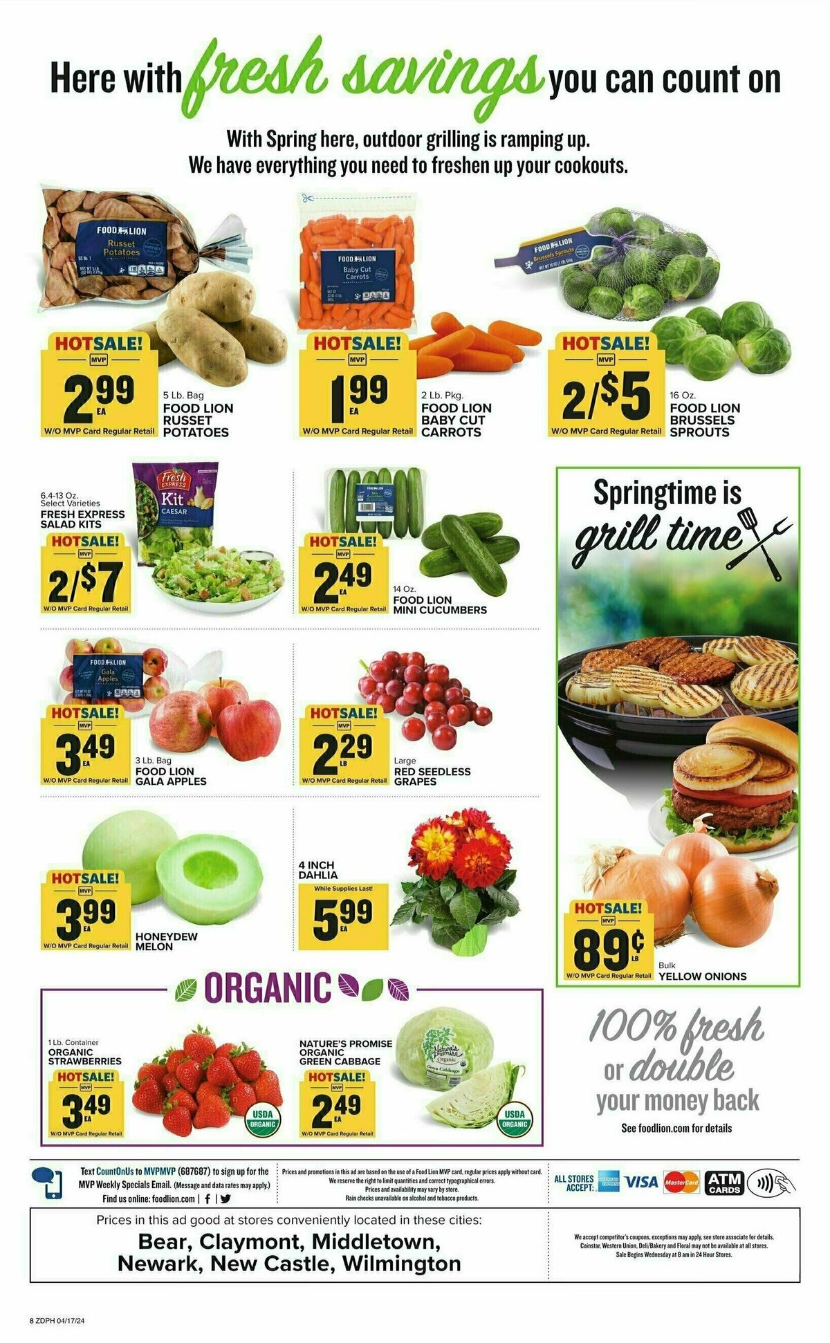 Food Lion Weekly Ad from April 17