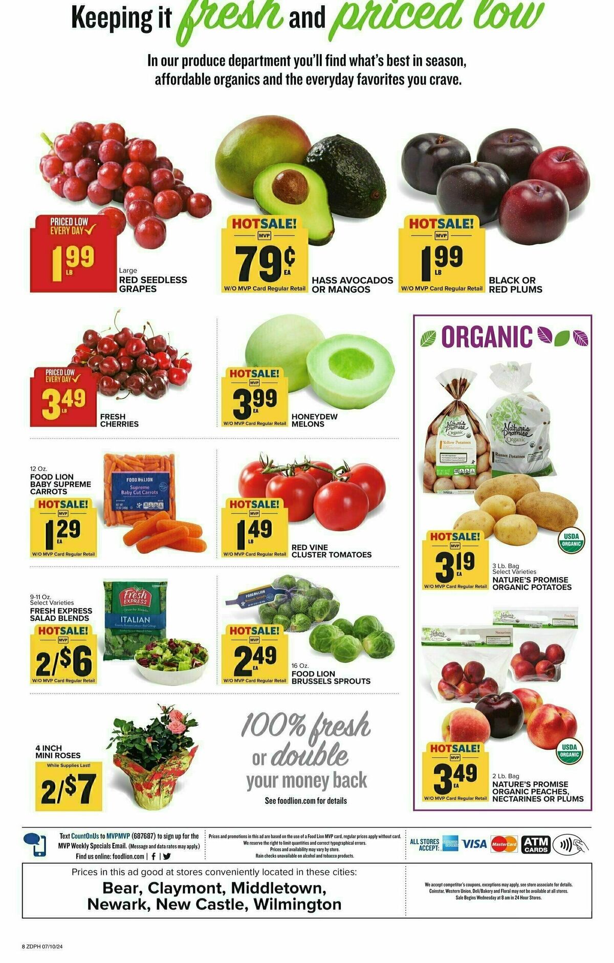 Food Lion Weekly Ad from July 10