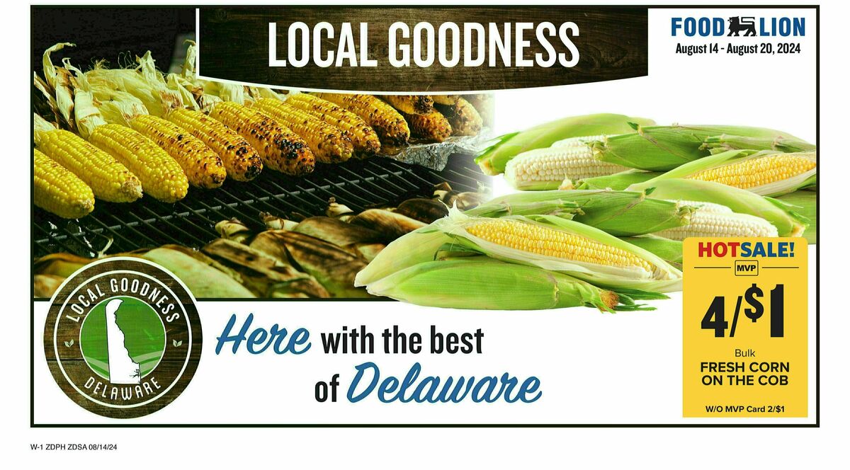 Food Lion Weekly Ad from August 14