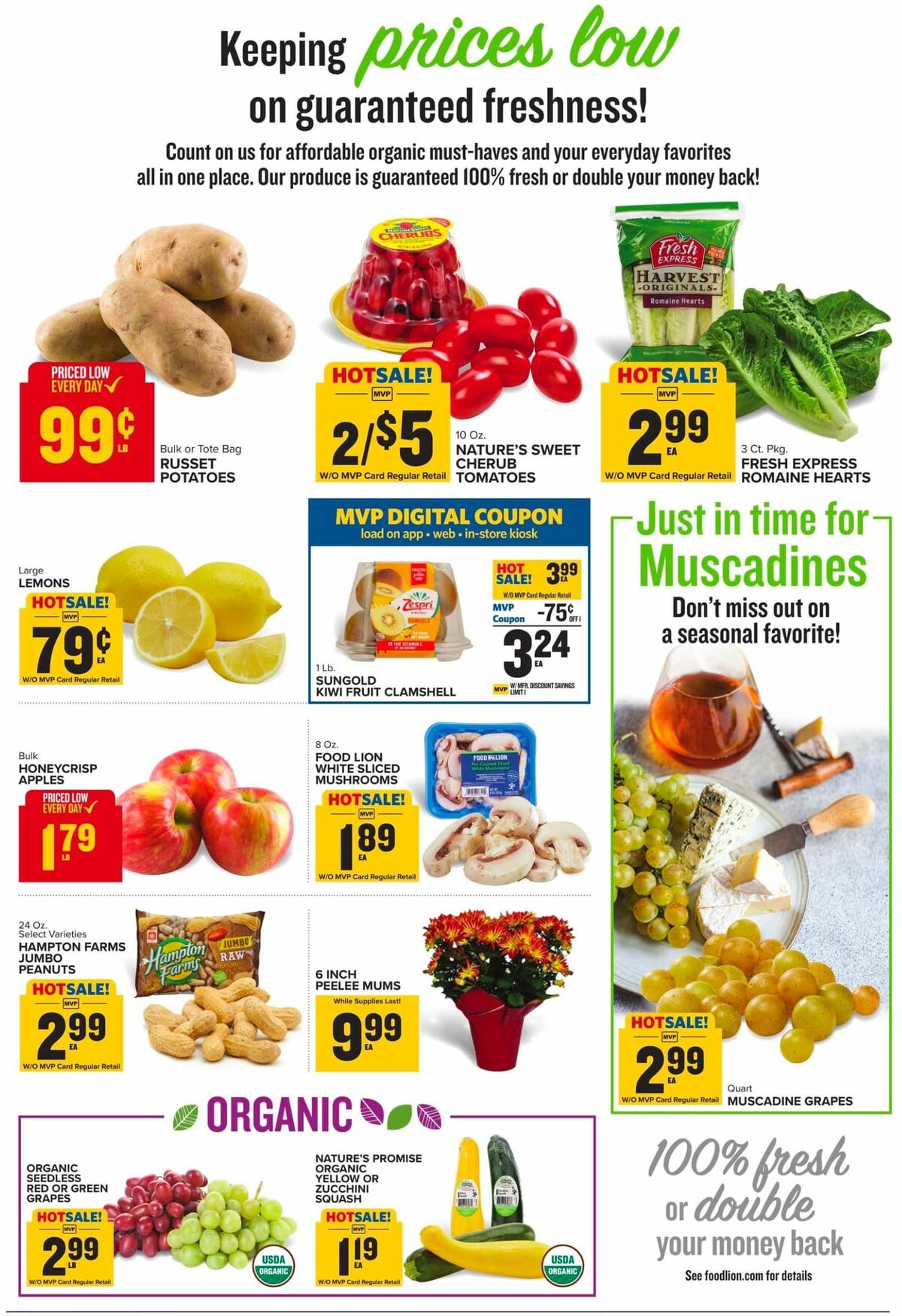 Food Lion Weekly Ad from September 4