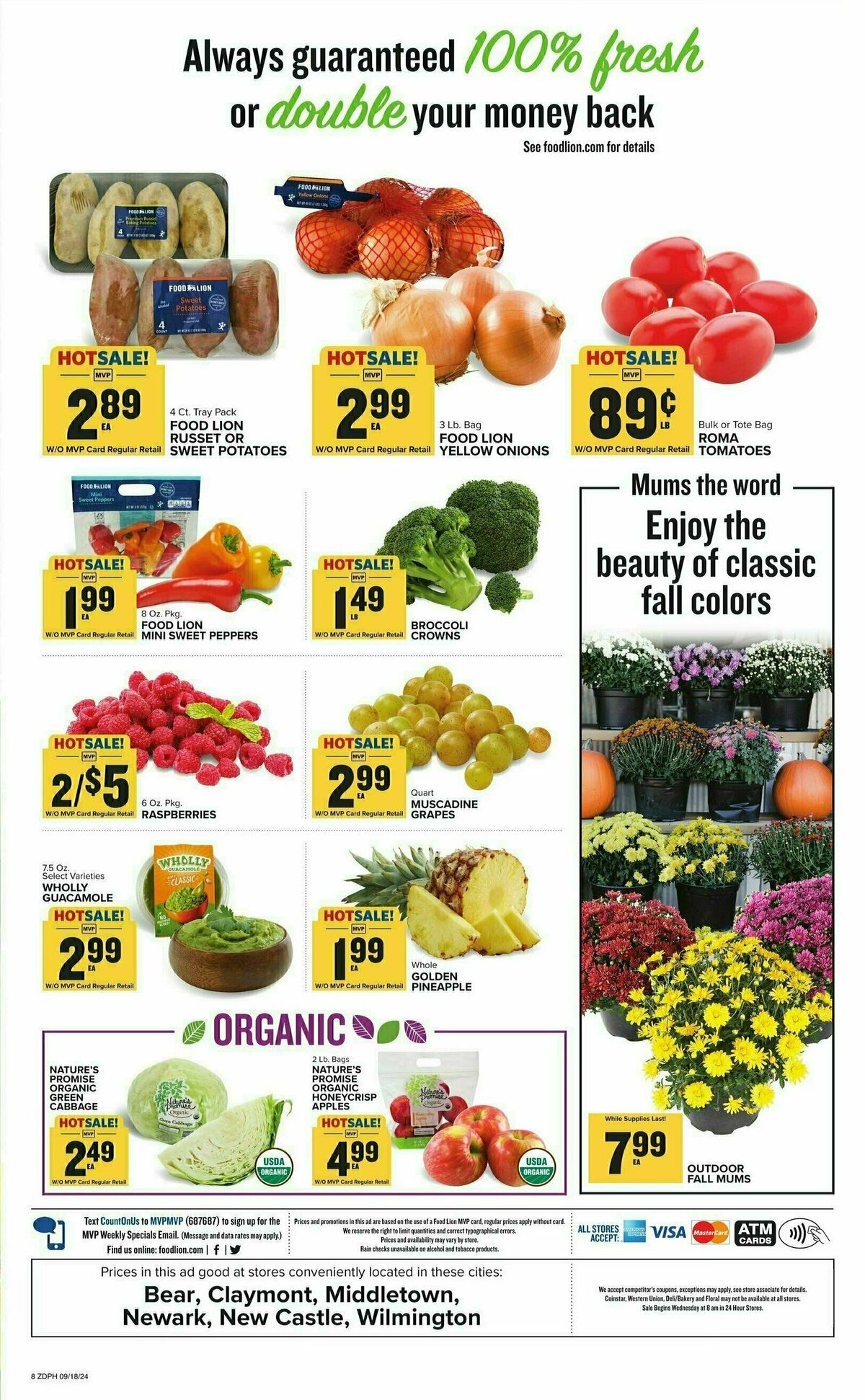 Food Lion Weekly Ad from September 18