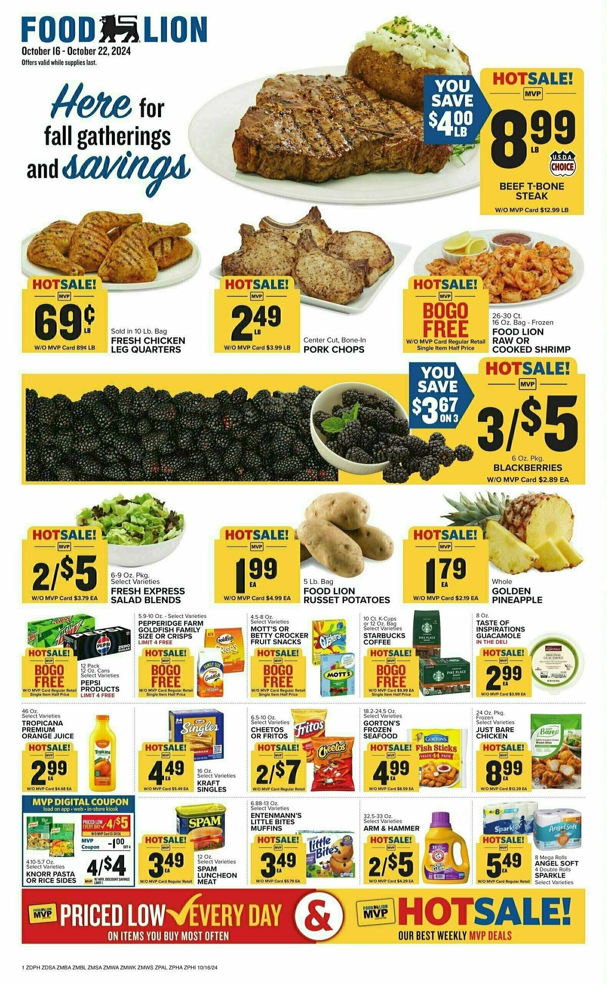 Food Lion Weekly Ad from October 16