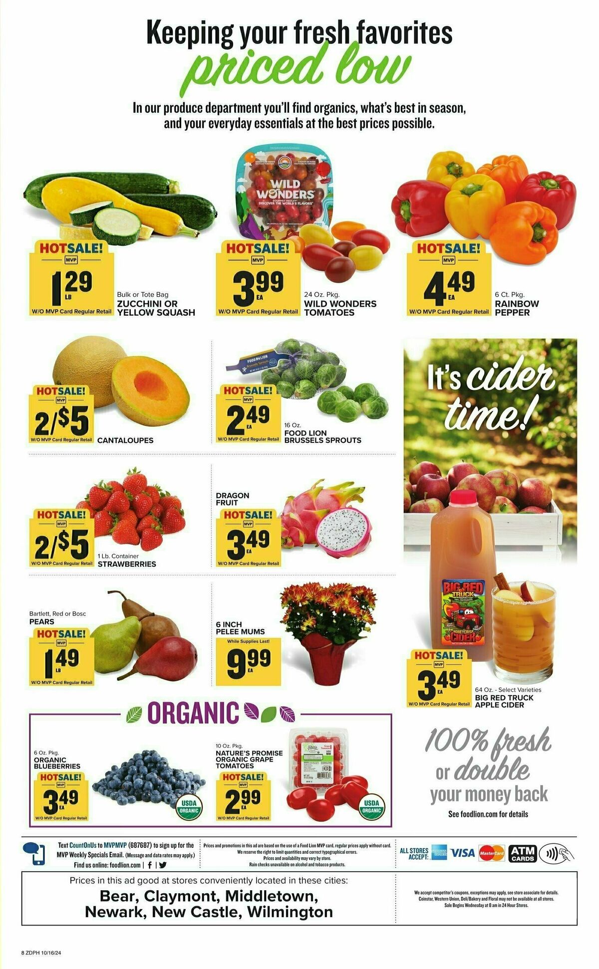 Food Lion Weekly Ad from October 16