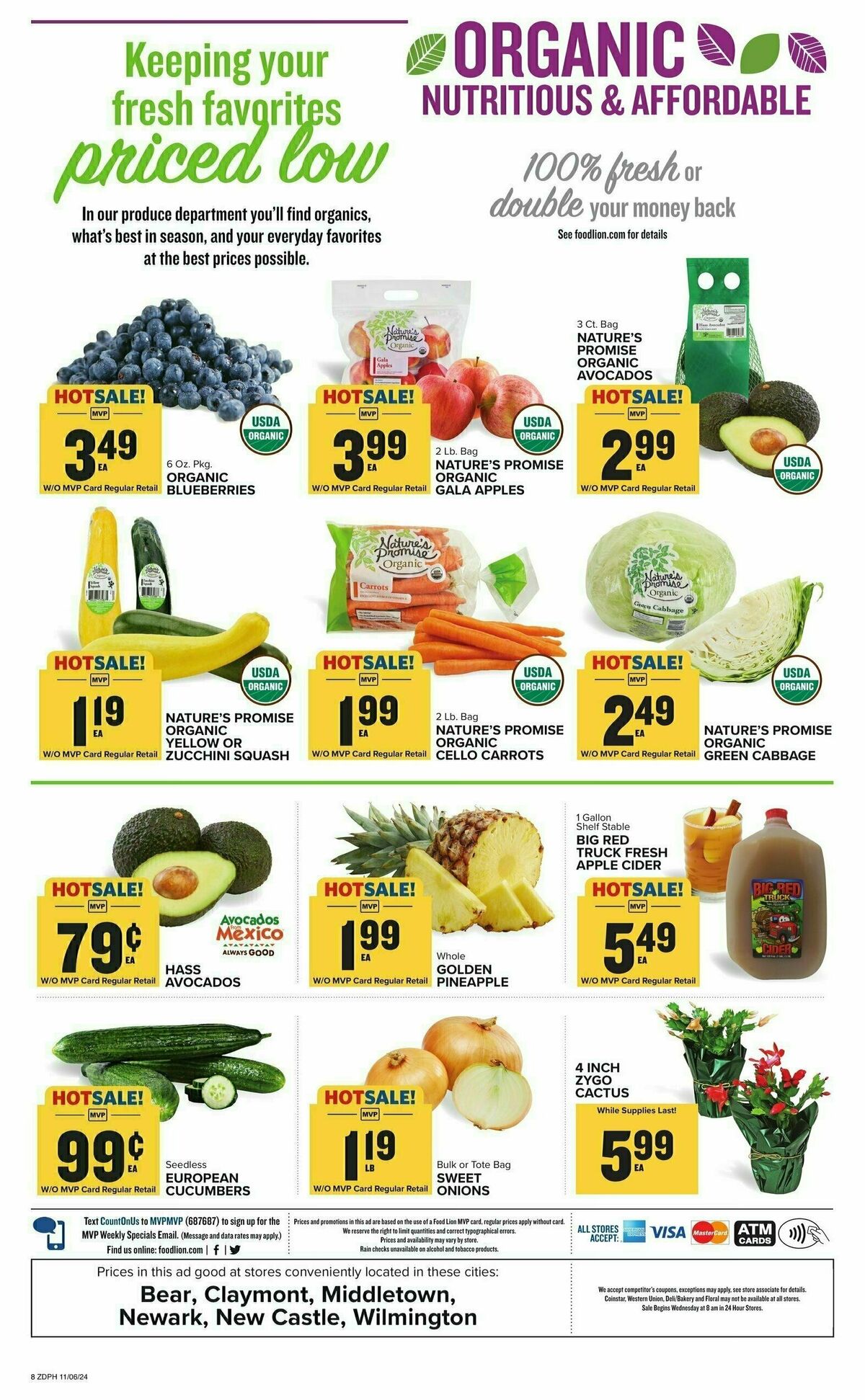 Food Lion Weekly Ad from November 6