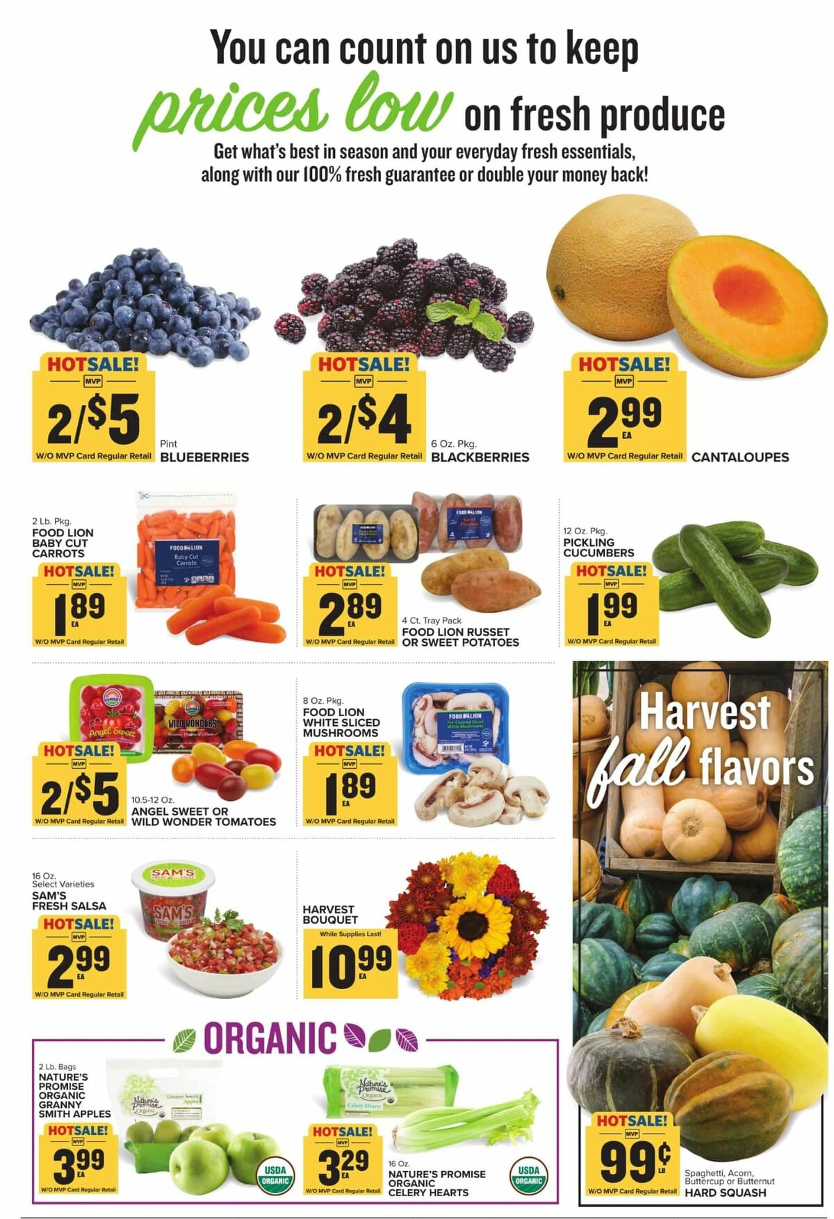 Food Lion Weekly Ad from November 13