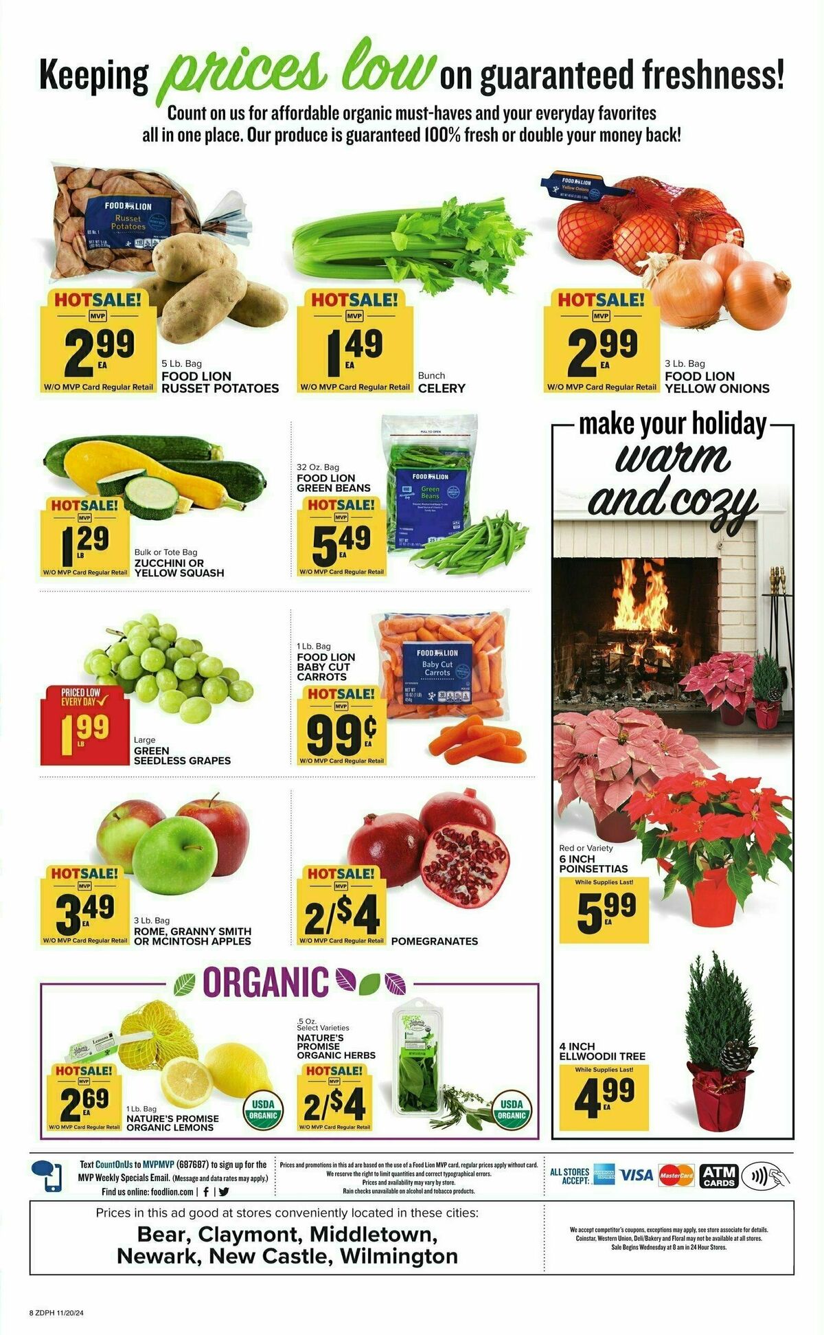 Food Lion Weekly Ad from November 20