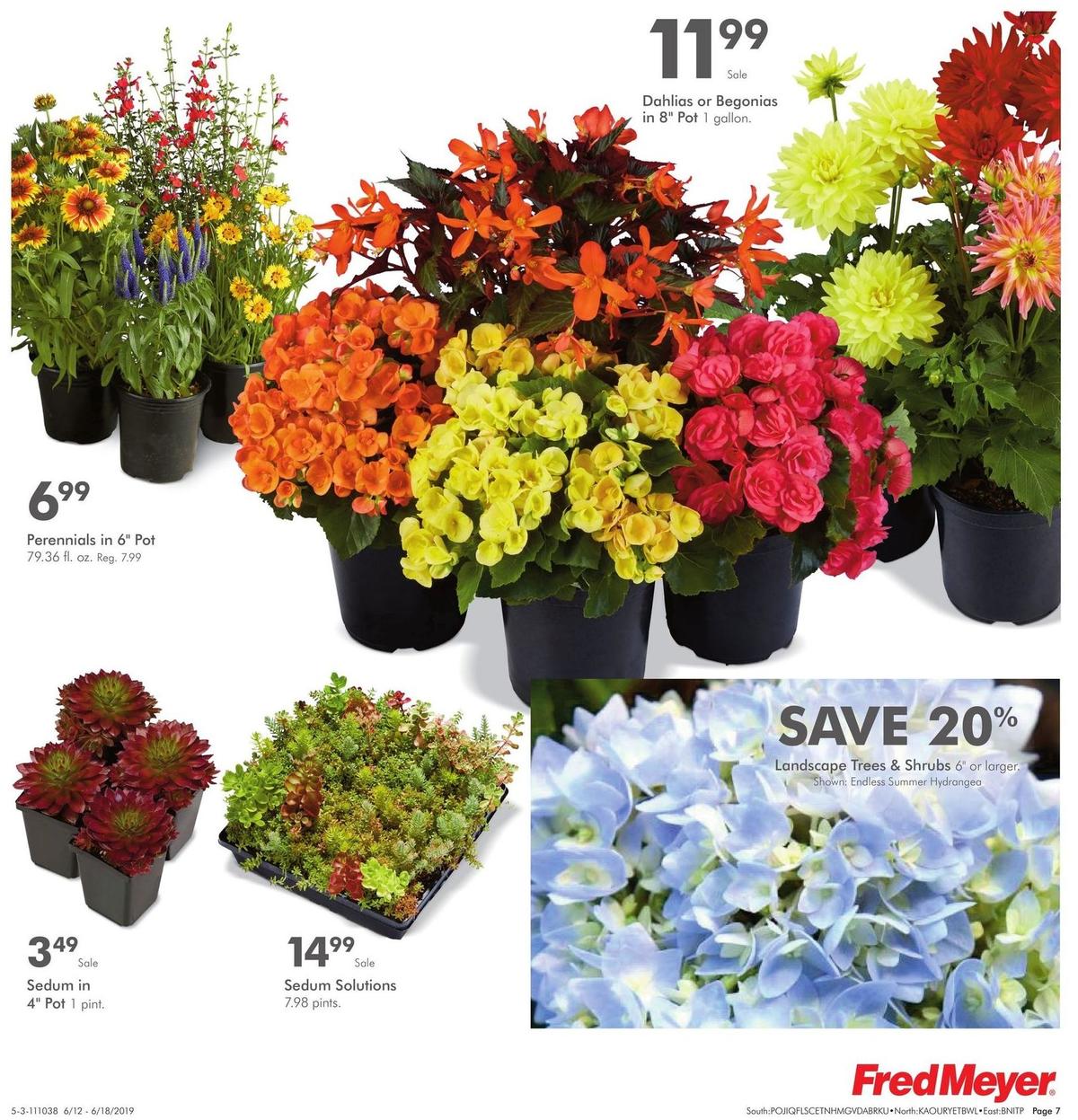 Fred Meyer General Merchandise Weekly Ad from June 12