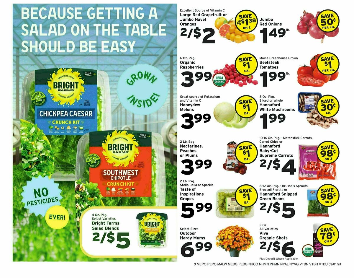 Hannaford Weekly Ad from September 1