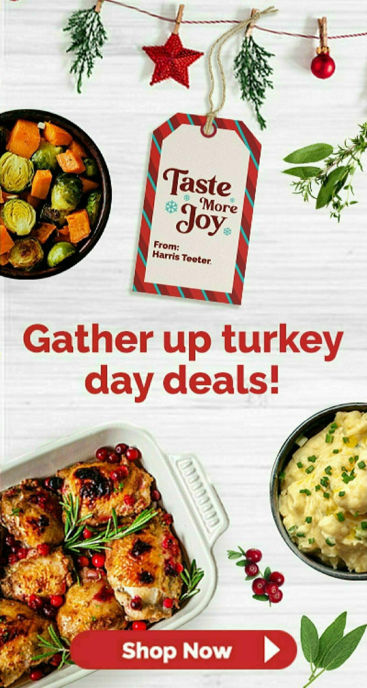 Harris Teeter Weekly Ad from November 20