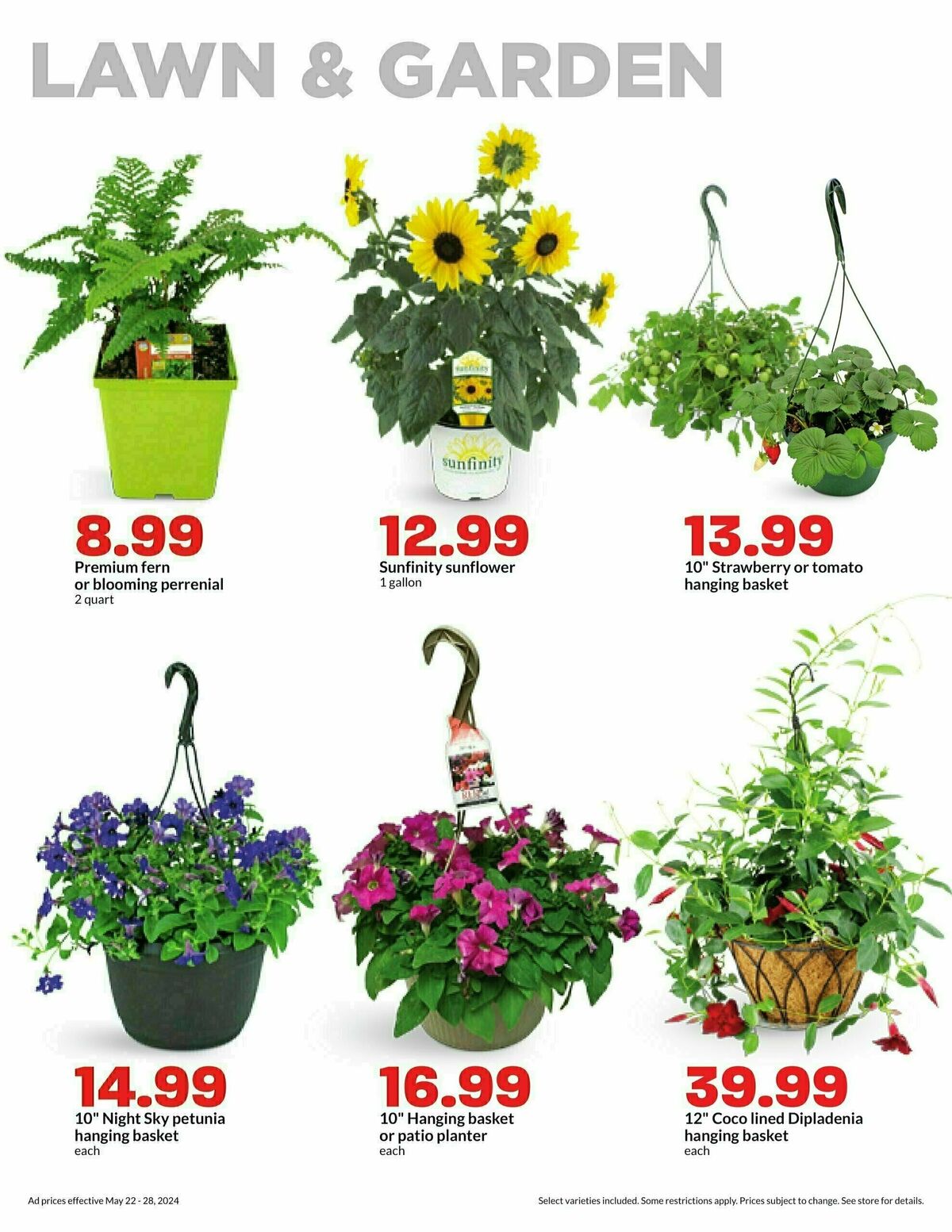 Hy-Vee Weekly Ad from May 22