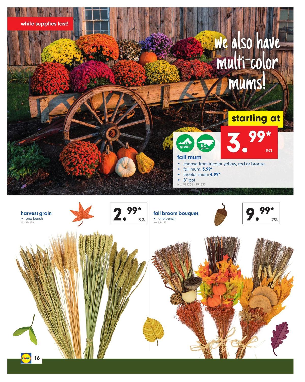 LIDL Weekly Ad from September 4