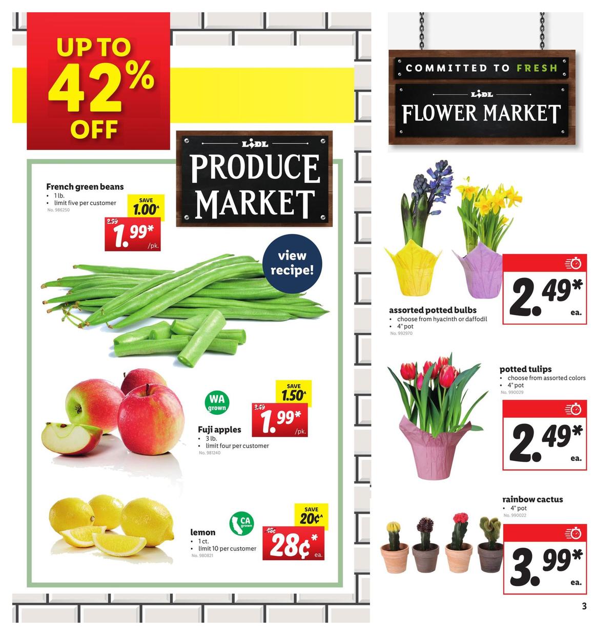 LIDL Weekly Ad from January 22