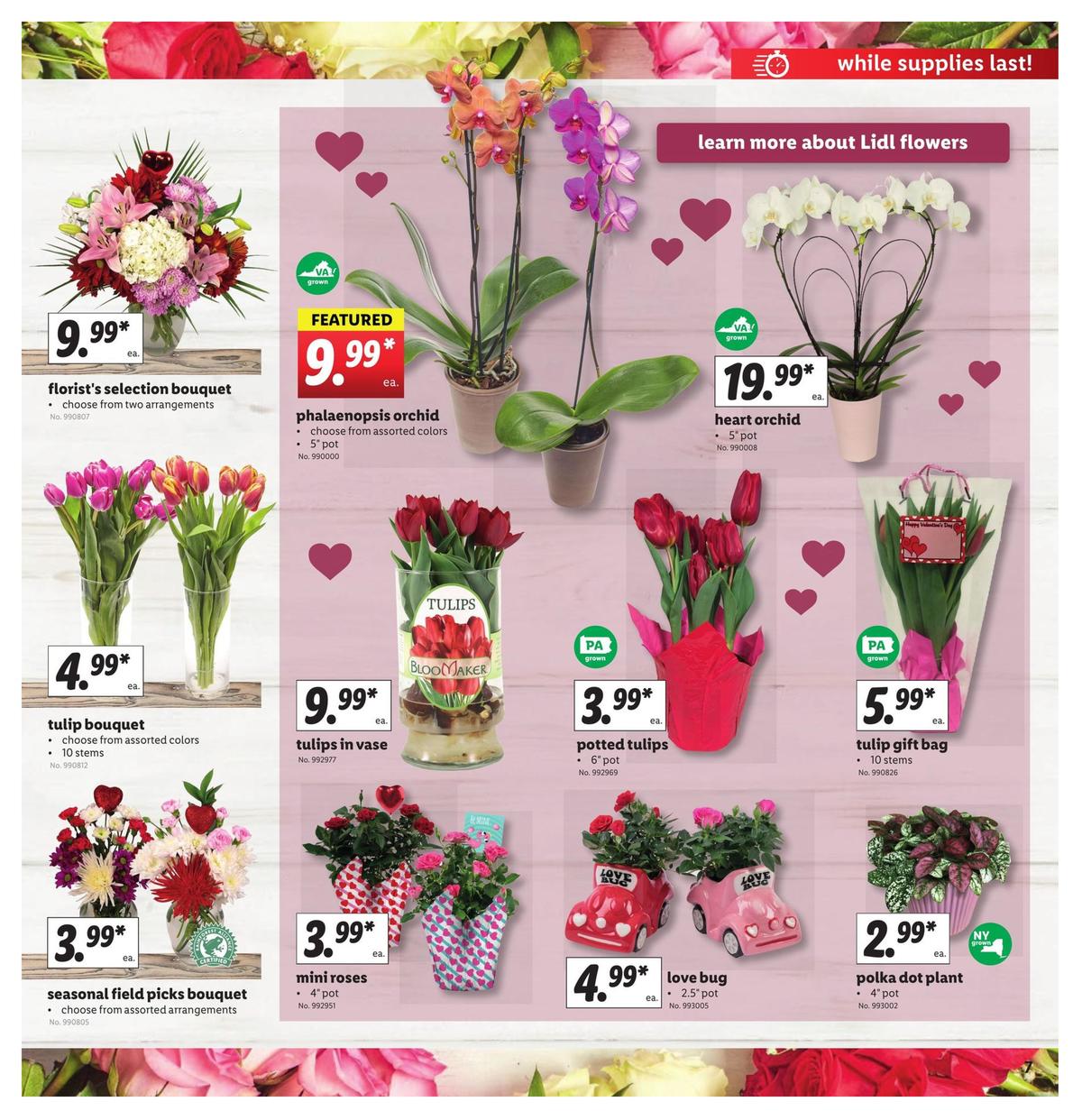 LIDL Weekly Ad from February 5