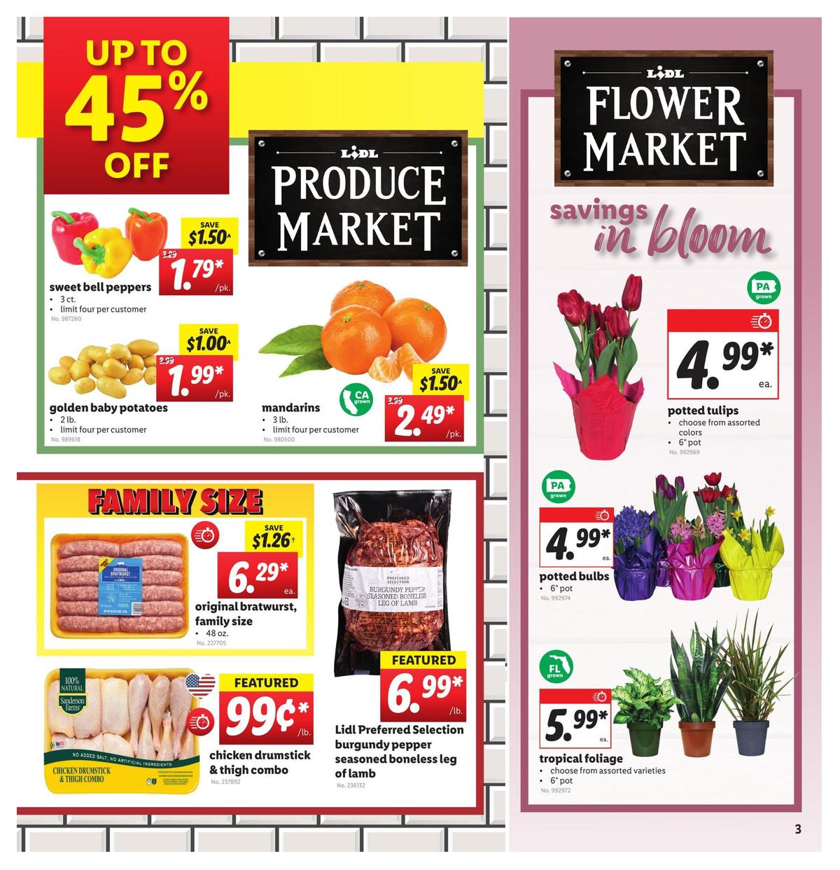 LIDL Weekly Ad from February 26