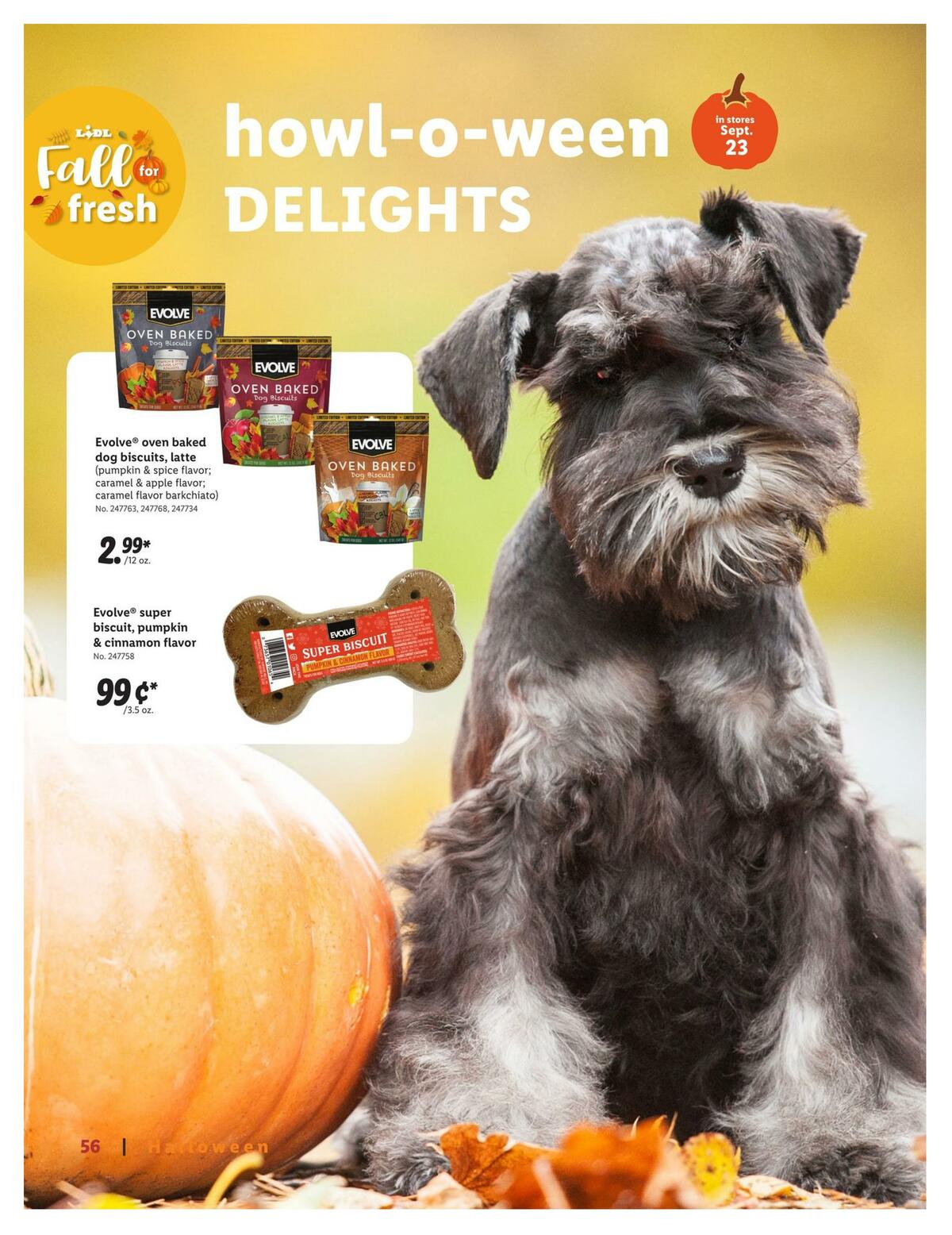 LIDL Magazine Weekly Ad from September 9