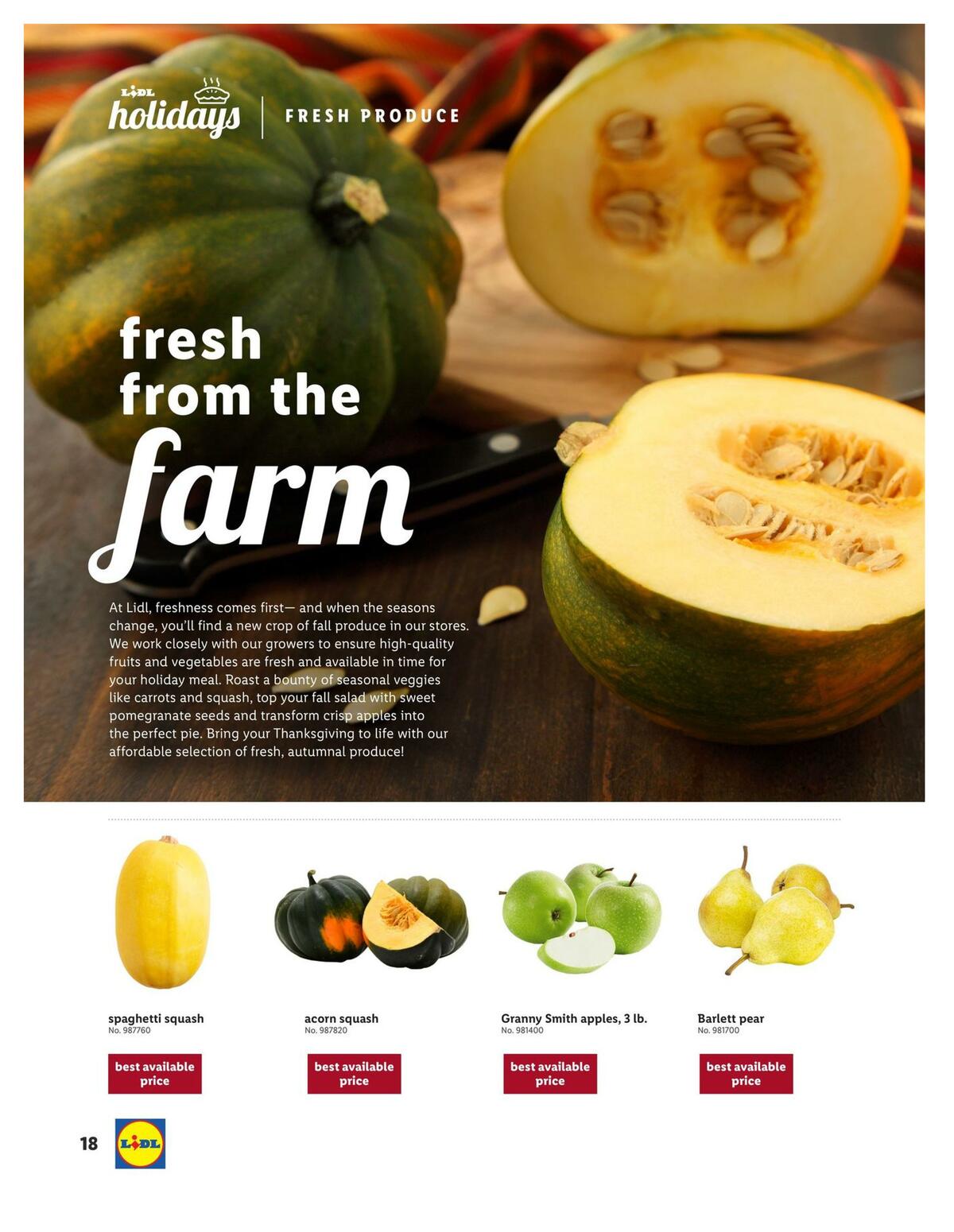 LIDL Magazine Weekly Ad from October 28