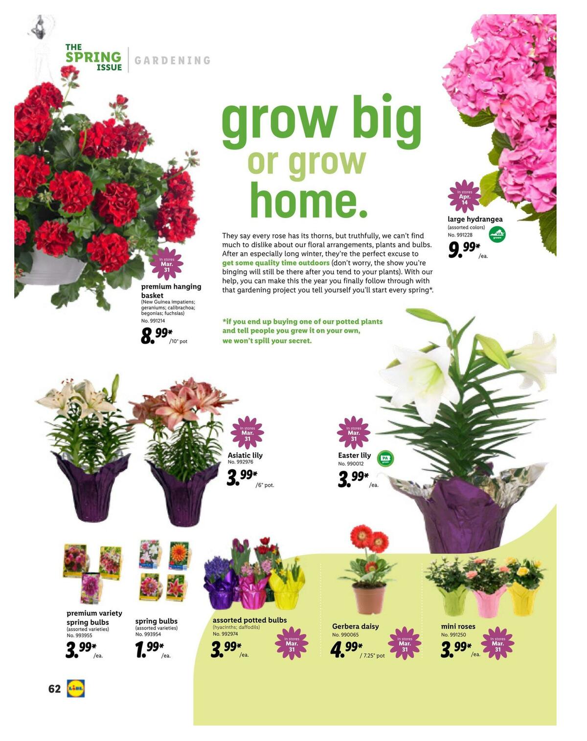 LIDL Magazine Weekly Ad from March 10