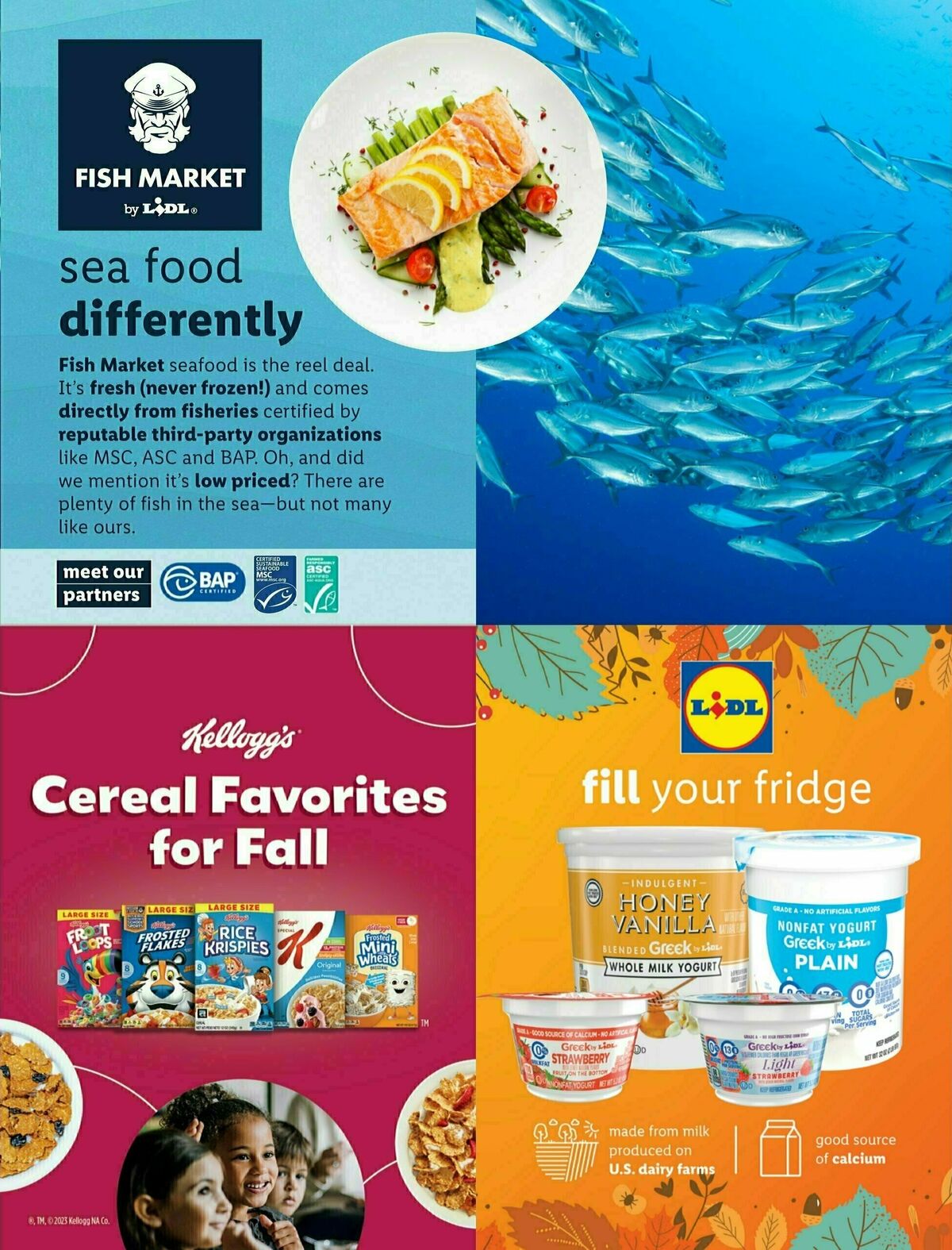 LIDL Thanksgiving Weekly Ad from November 1