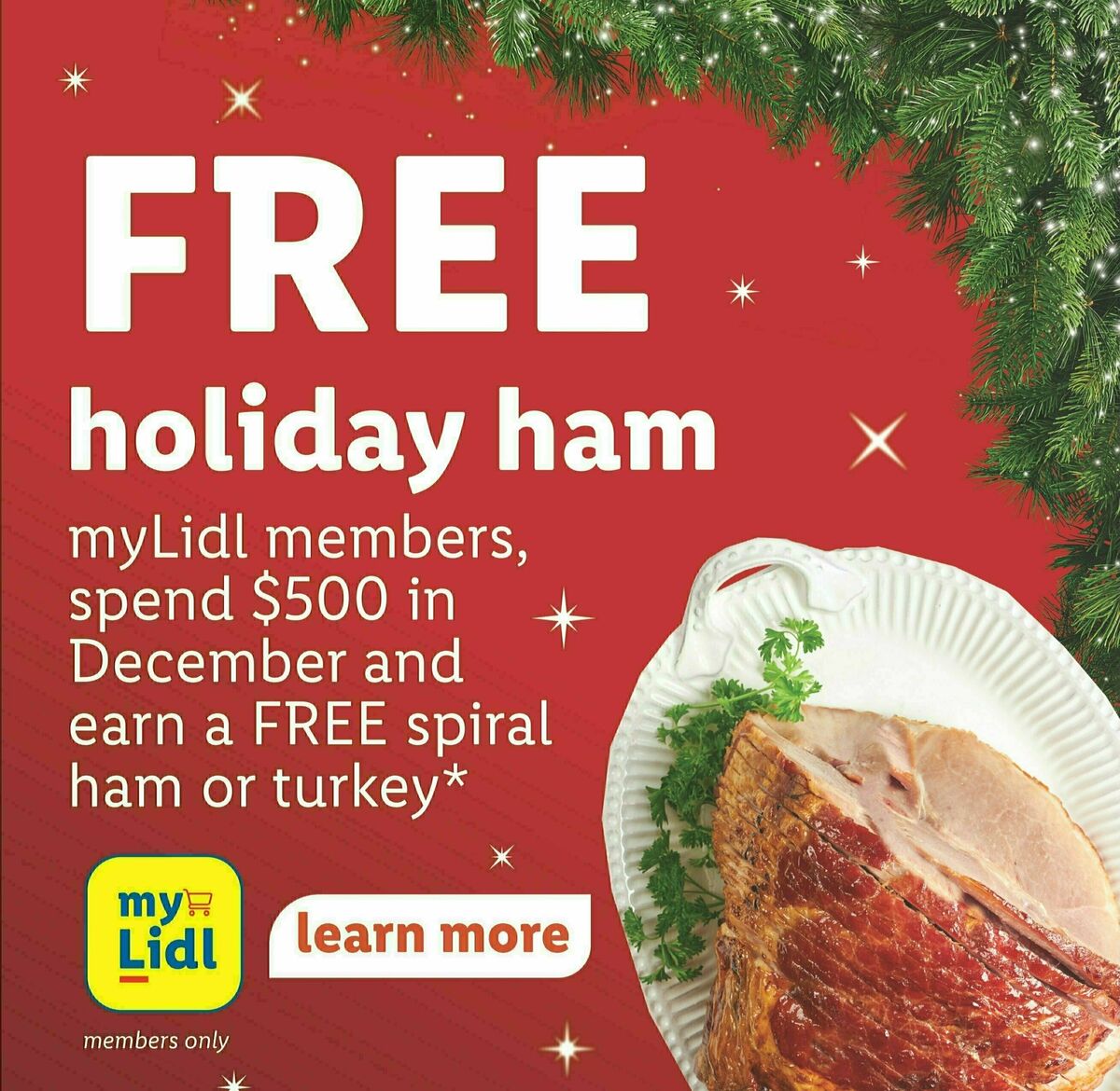 LIDL Weekly Ad from November 29