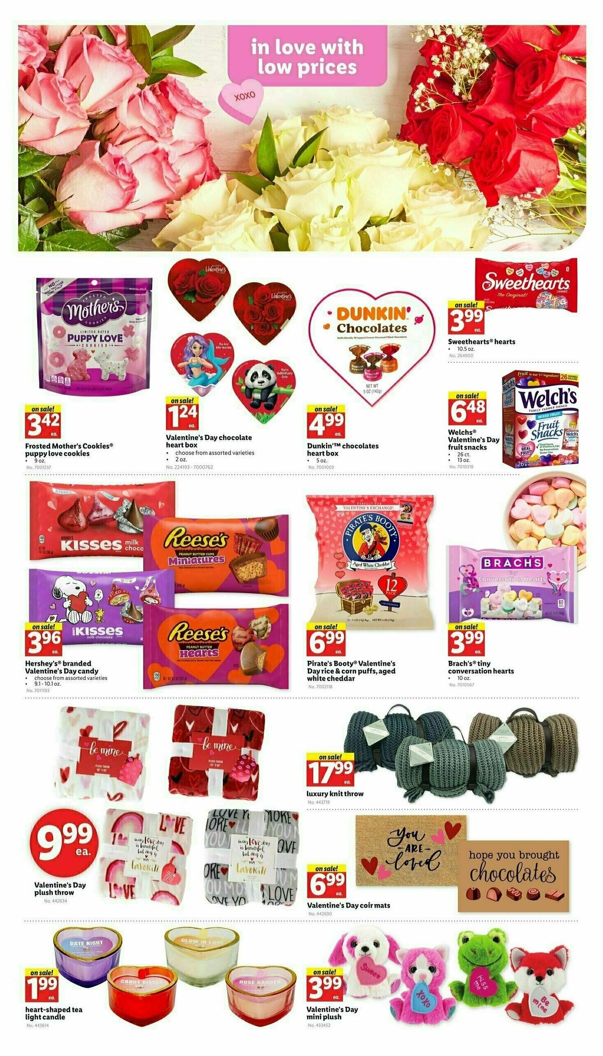 LIDL Weekly Ad from January 10