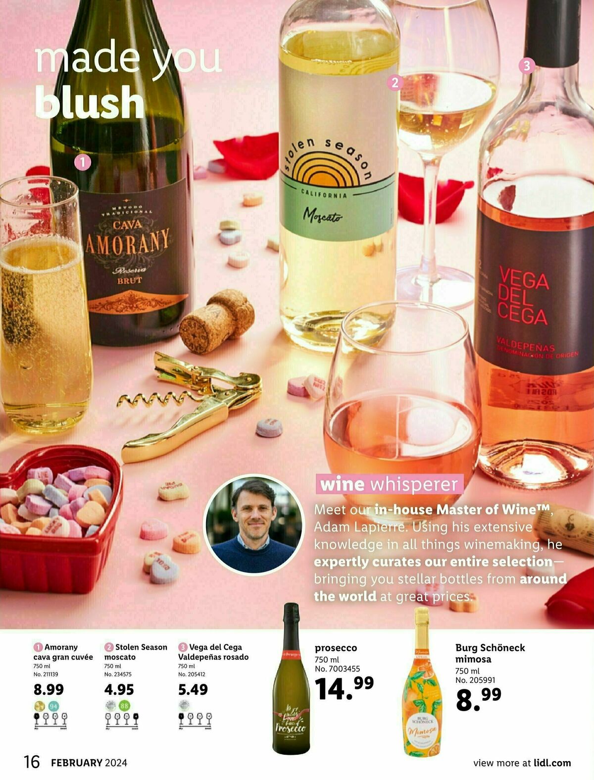 LIDL Catalog February Weekly Ad from January 24