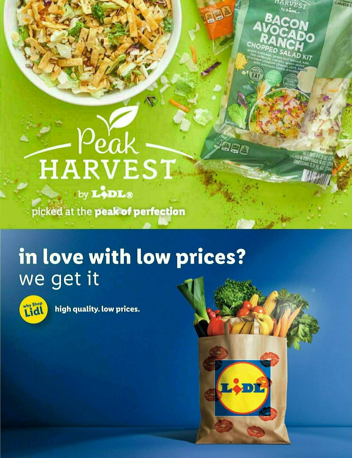 LIDL Catalog February Weekly Ad from January 24