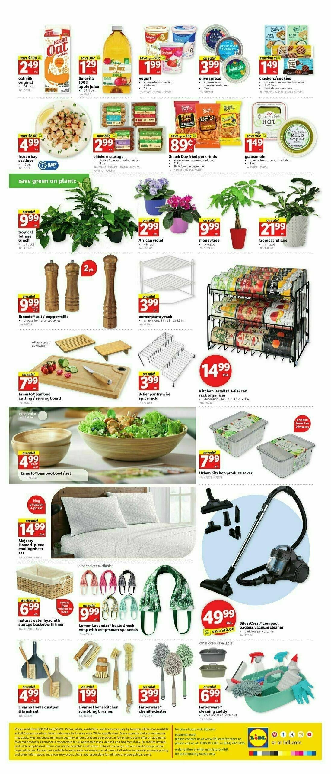 LIDL Weekly Ad from June 19