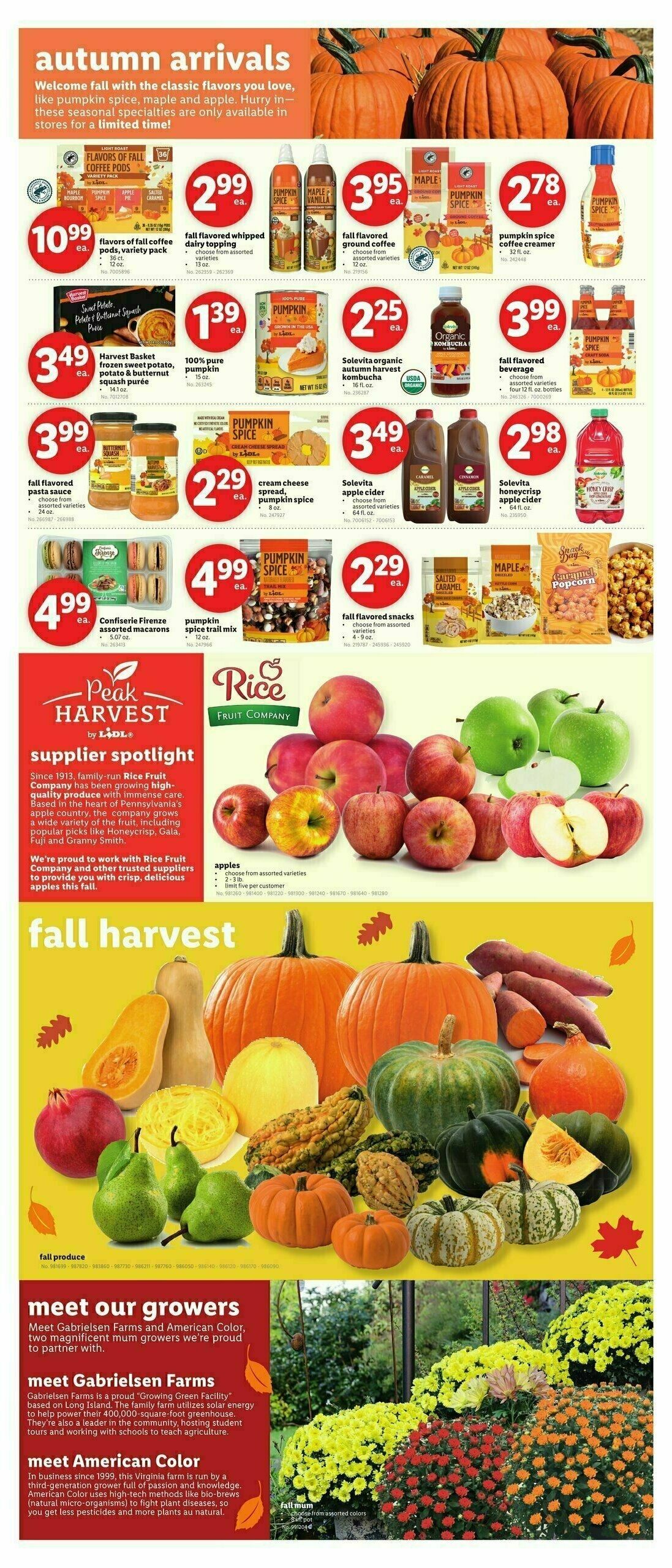 LIDL Weekly Ad from September 4