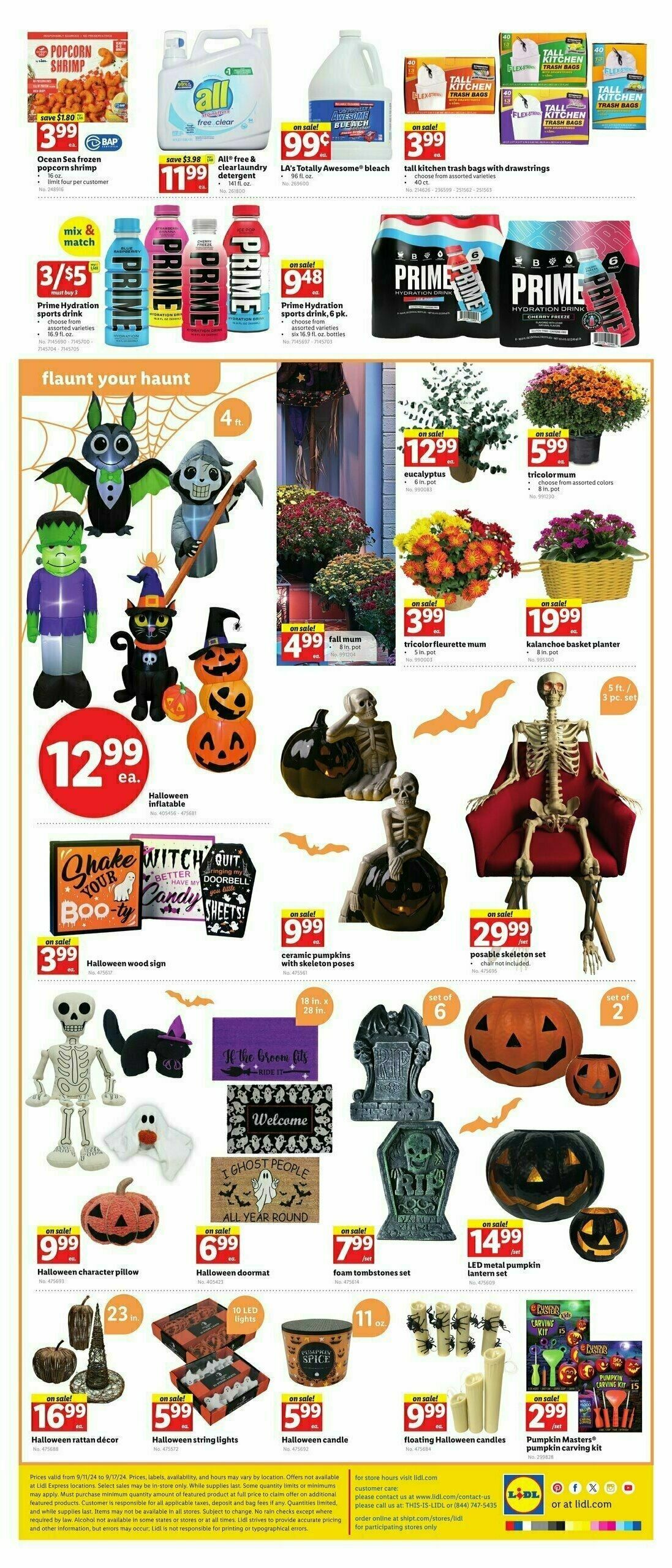 LIDL Weekly Ad from September 11