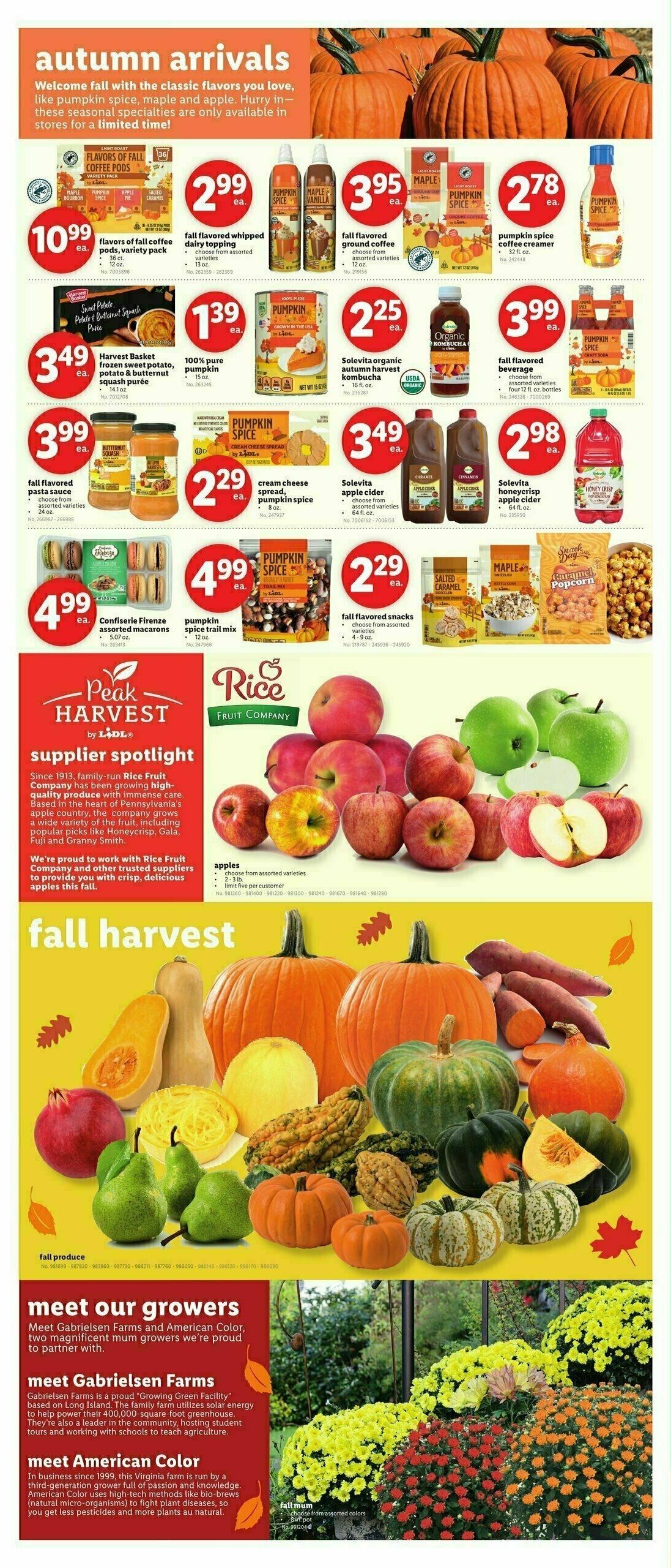 LIDL Weekly Ad from September 11