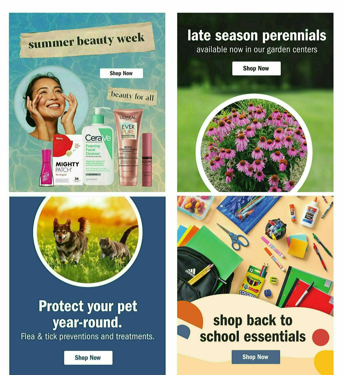 Meijer Weekly Ad from June 16