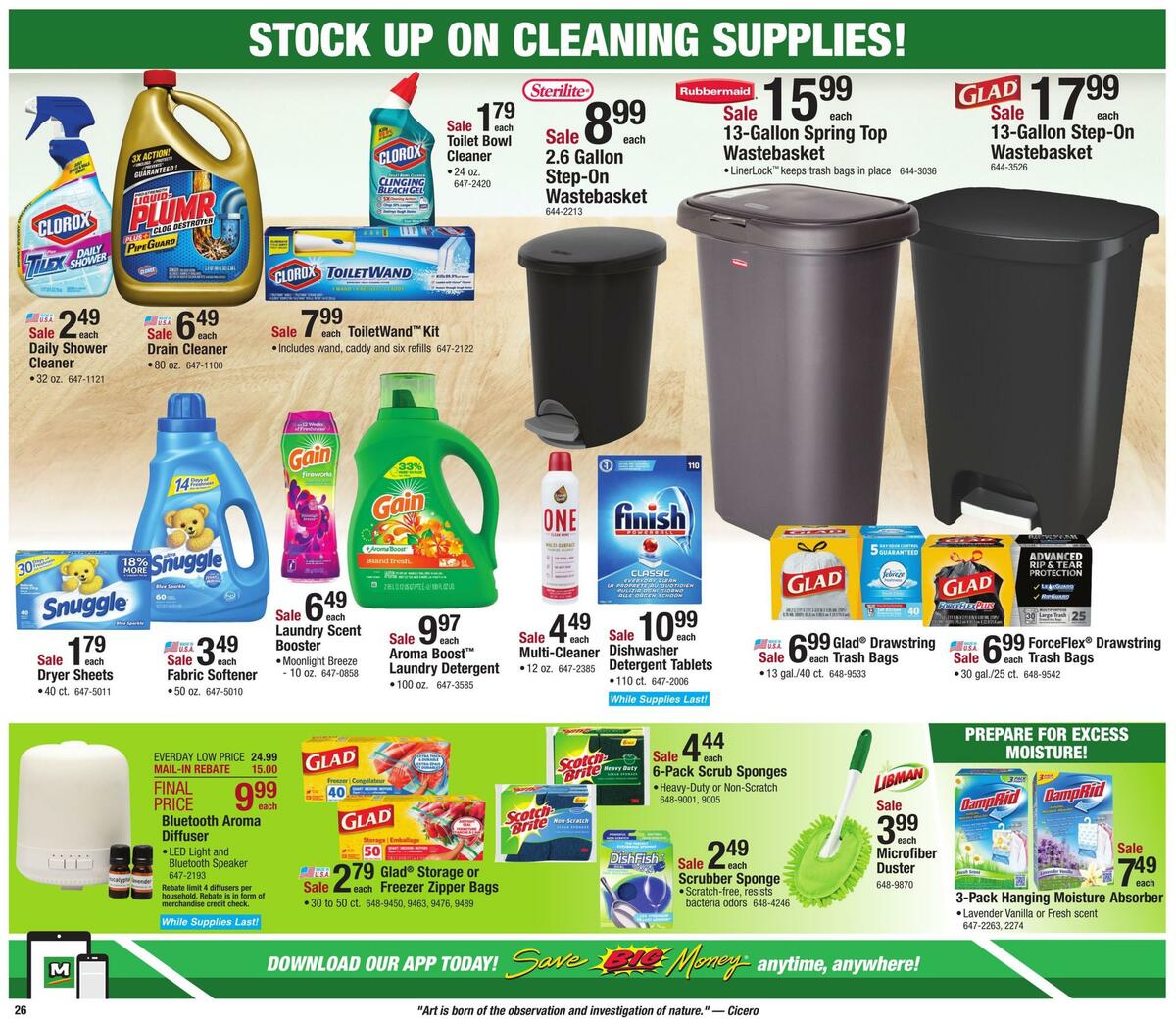 Menards Weekly Ad from March 29