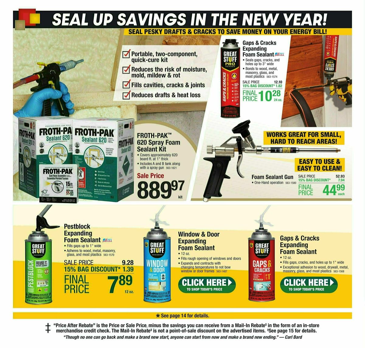 Menards Weekly Ad from January 1