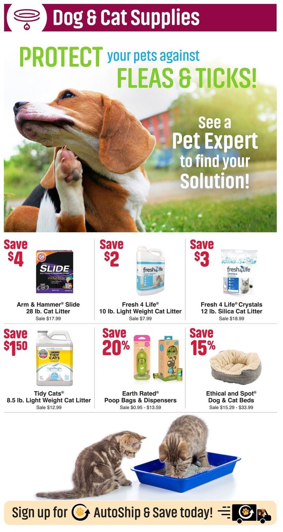 Pet Supermarket Weekly Ad from January 27