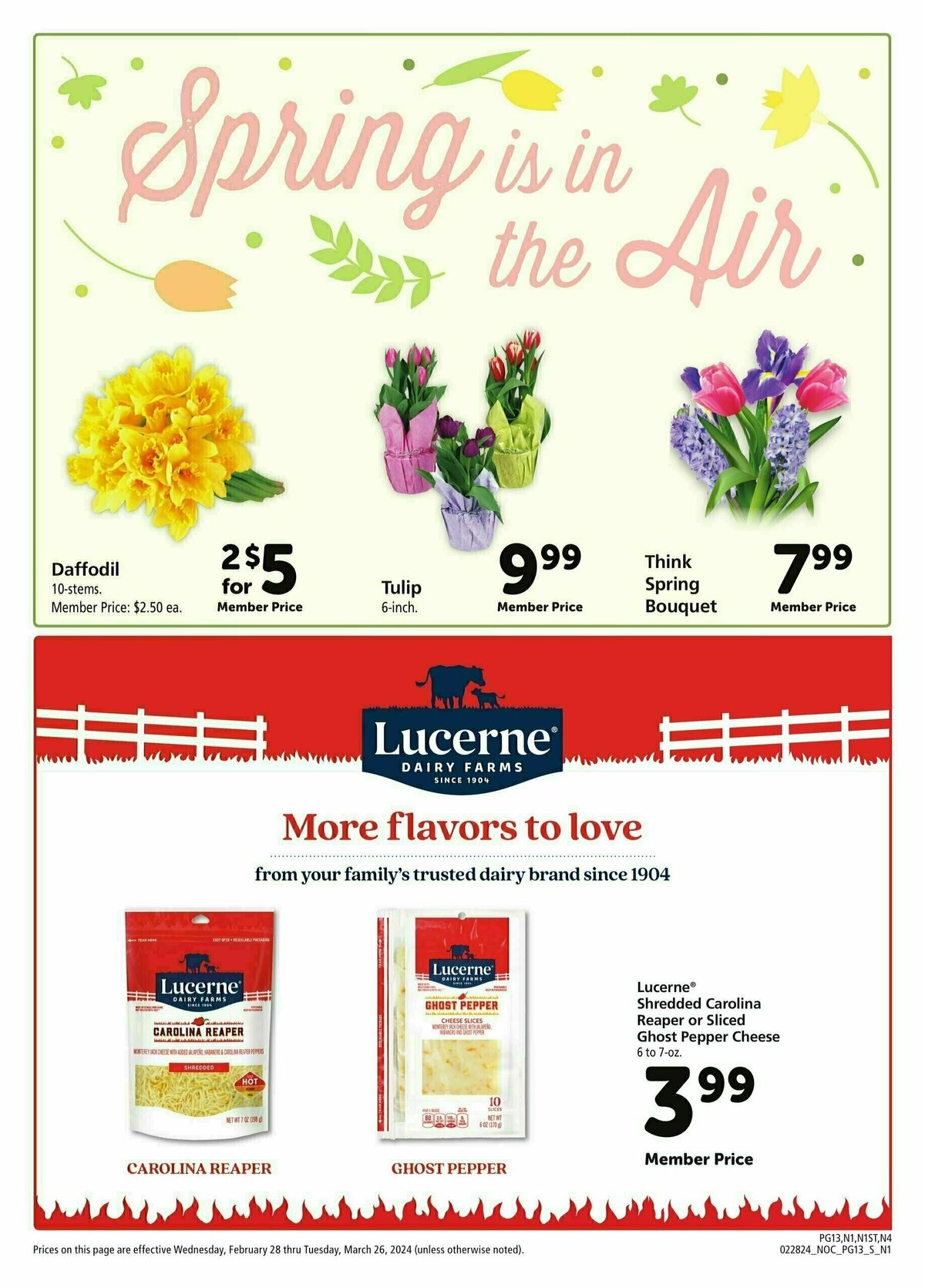 Safeway Big Book of Savings Weekly Ad from February 28