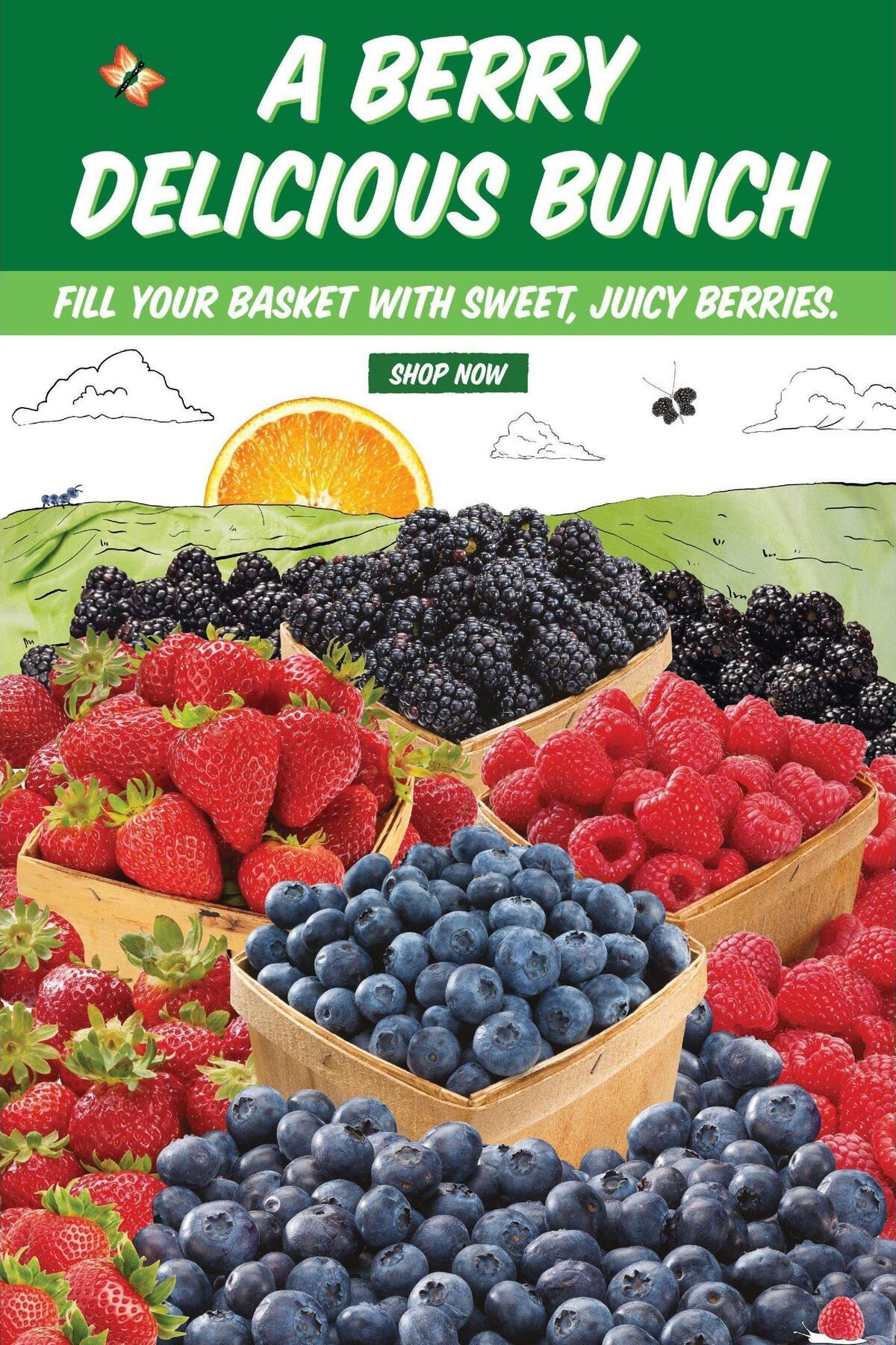 Sprouts Farmers Market Weekly Ad from February 15